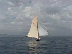 Gaff rigged Cutter Partridge 1885.