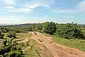 Pathway on Thurstaston Hill