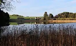 A small scene through some reeds