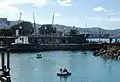 Pedal boats on the lagoon