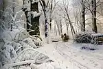 Woods in the Snow