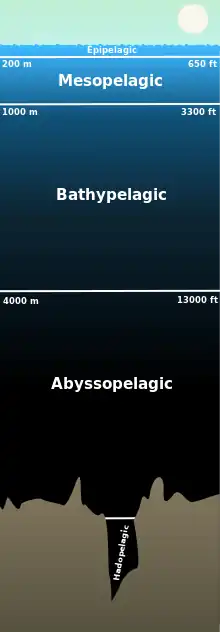 Image 26Scale diagram of the layers of the pelagic zone (from Deep-sea fish)