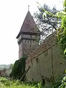 Fortified church in Pelișor