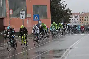 The peloton in Savona