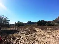 Hiking trail leading to the Indian Mesa (in the background). The hiking trail is located on a portion of a canal which the Hohokam built in 700 AD.. The canal is now filled with soil.