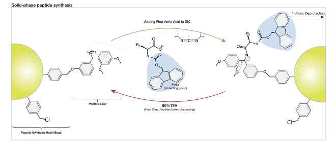 Table of amino acids