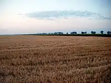 Agricultural landscape in Aranca Plain