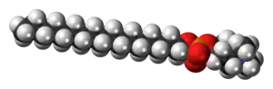 Space-filling model of the perifosine zwitterion