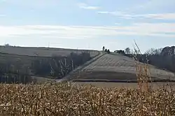 Fields in far western Springfield Township