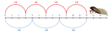 Number line with multiples of 3 and 4 highlighted up to the number 12. An illustration of a cicada sits at the number 13.