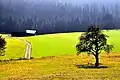 Countryside near Pernegg Feldkirchen in Kärnten