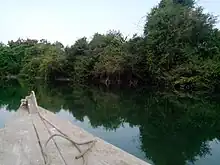 A photograph of a river taken from a boat in the center of the waterway. The water is still, and there are many trees leaning over it from the riverbank.