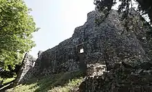 Ruins of wall and towers