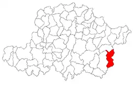 Location in Arad County