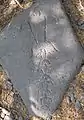 Petroglyph from the Puako Petroglyph Archaeological District