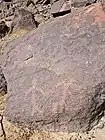 Petroglyphs etched on rock in the lower reaches of the Wadi Ejili