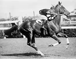 Phar Lap, 1930 winner