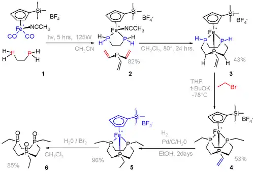 Scheme 4. Phosphacrown