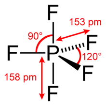 Structure of the phosphorus pentafluoride molecule