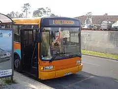 City buses