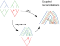 Three levels can be reconciled together, sequentially: the intermediate in the upper before adding the lower, or trying to find a joint most parsimonious scenario for the two reconciliations.