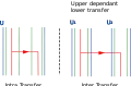 Transfers can be upper dependent, which is more likely between two intermediate entities that belong to a same upper one.