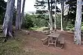 Picnic tables on bluff above Kirby Cove Beach