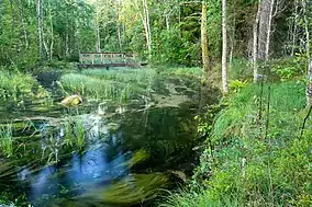 Pidula mill at Odalätsi springs