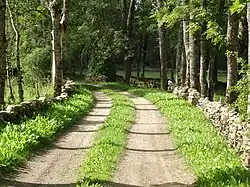 Stone fences and road in Pikavere