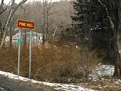 One of Catskill Park's brown and yellow town signs, showing the hamlet of Pine Hill, New York, United States