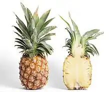 A pineapple is a multiple fruit