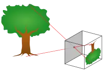 Principle of a pinhole camera. Light rays from an object pass through a small hole to form an image.