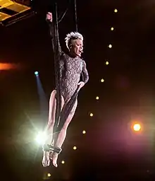 Pink in a black leotard with rhinestones hanging on ropes and performing