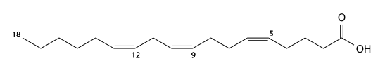 pinolenic acid structure