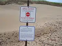 Piping plover nesting area