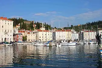 Piran's harbour