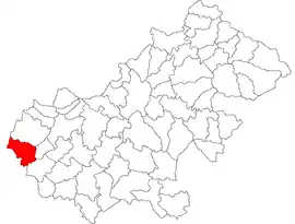 Location in Satu Mare County