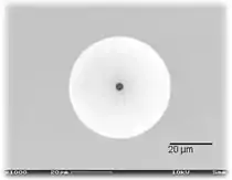 Scanning electron microscope image of a planar patch clamp chip. Both the pipette and the chip are made from borosilicate glass.