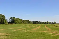 Fields on State Route 47 east of Logansville