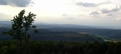 The Pleß seen from Dolmar