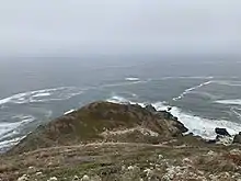 A rocky point with shrubs jutting out into the ocean on an overcast day