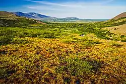 Nature Reserve "Polar Ural", Priuralsky District