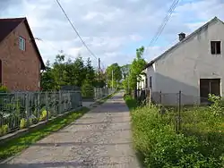 Road through the village