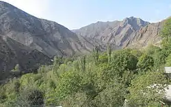 Pomegranate orchards in rocky terrain