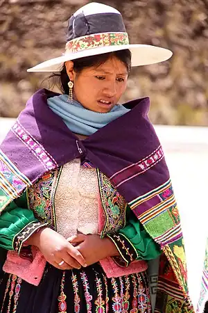 Image 22An Indigenous woman in traditional dress near Cochabamba, Bolivia (from Indigenous peoples of the Americas)