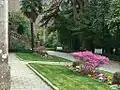 Gardens with azaleas and palm trees