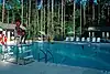 A lifeguard watching people swim in a pool