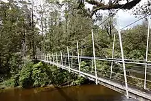 Suspension bridge on the Inland Pack Track