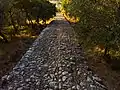 Roman road of Alqueidão da Serra