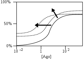 PAM-agonists work like PAMs, but are agonists themselves. Thus they induce a response even at minimal concentrations of the agonists they modulate.